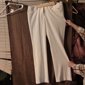 Worthington White Boot Cut Stretch Pants